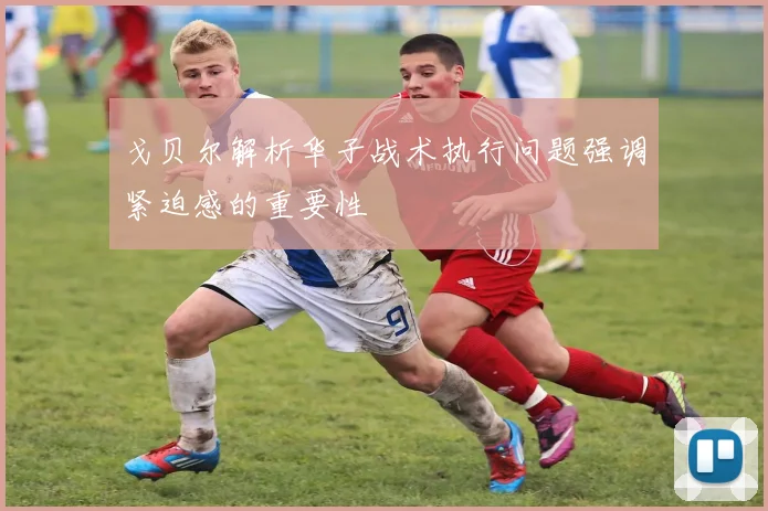 戈贝尔解析华子战术执行问题强调紧迫感的重要性